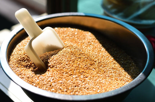Seed Cycling: A Natural Approach to Hormonal Balance